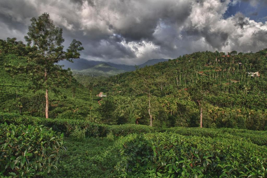 The Windflower Resort & Spa, Vythiri Wayanad Esterno foto